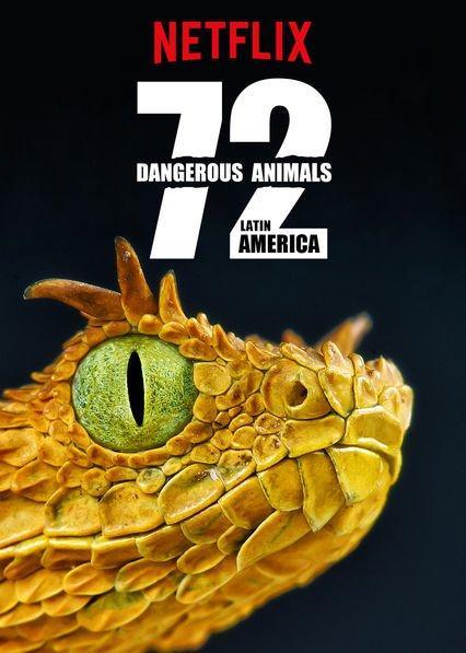 72 Animales Peligrosos De America Latina