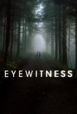 Serie Eyewitness