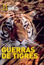 pelicula Guerras De Tigres