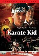pelicula Karate Kid