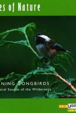 pelicula Sonidos Relajantes – Selva y Aves