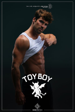 Serie Toy Boy